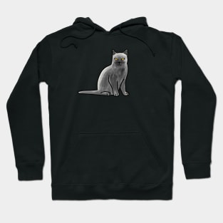 Gray British Shorthair Cat Hoodie